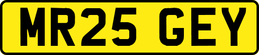 MR25GEY