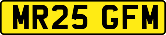 MR25GFM