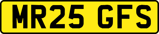 MR25GFS