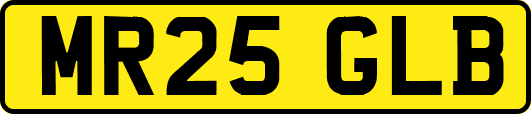 MR25GLB