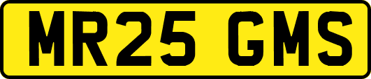 MR25GMS