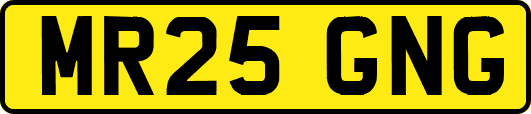 MR25GNG