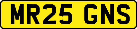 MR25GNS