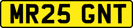 MR25GNT