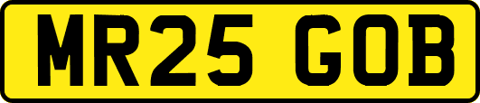 MR25GOB