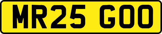 MR25GOO