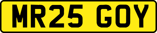 MR25GOY