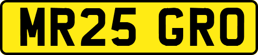 MR25GRO