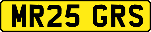 MR25GRS
