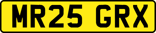 MR25GRX