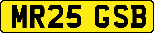 MR25GSB