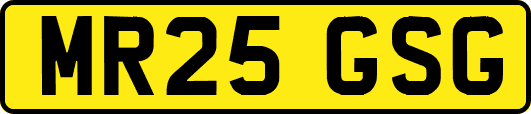 MR25GSG
