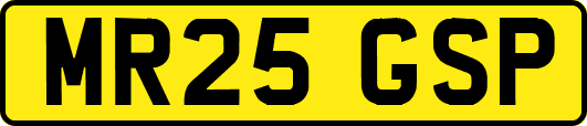 MR25GSP