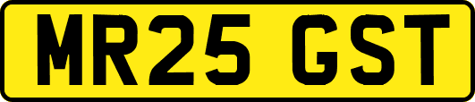 MR25GST