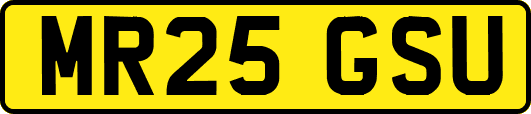MR25GSU