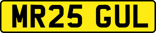 MR25GUL
