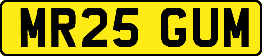 MR25GUM