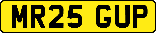 MR25GUP