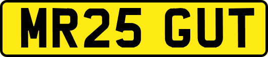 MR25GUT