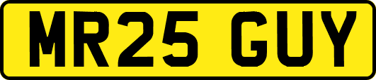 MR25GUY
