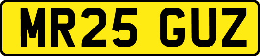 MR25GUZ