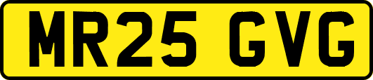 MR25GVG