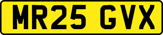 MR25GVX