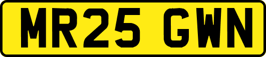 MR25GWN
