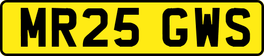 MR25GWS