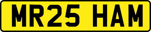 MR25HAM