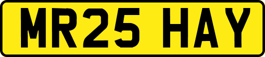 MR25HAY