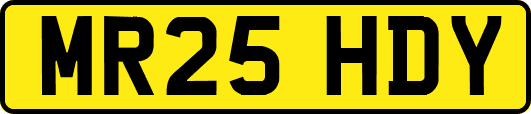 MR25HDY