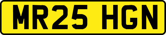 MR25HGN