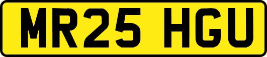 MR25HGU