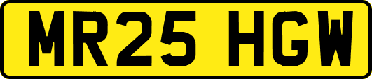 MR25HGW