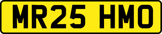 MR25HMO