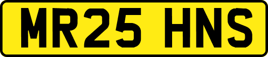 MR25HNS