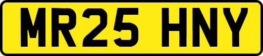 MR25HNY