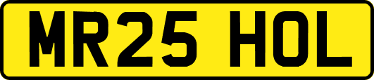 MR25HOL