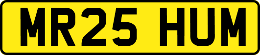 MR25HUM