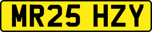 MR25HZY