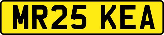 MR25KEA