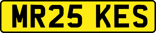 MR25KES