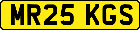 MR25KGS