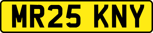 MR25KNY