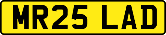 MR25LAD