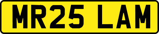 MR25LAM