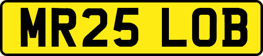 MR25LOB