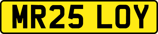MR25LOY