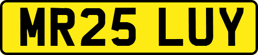 MR25LUY